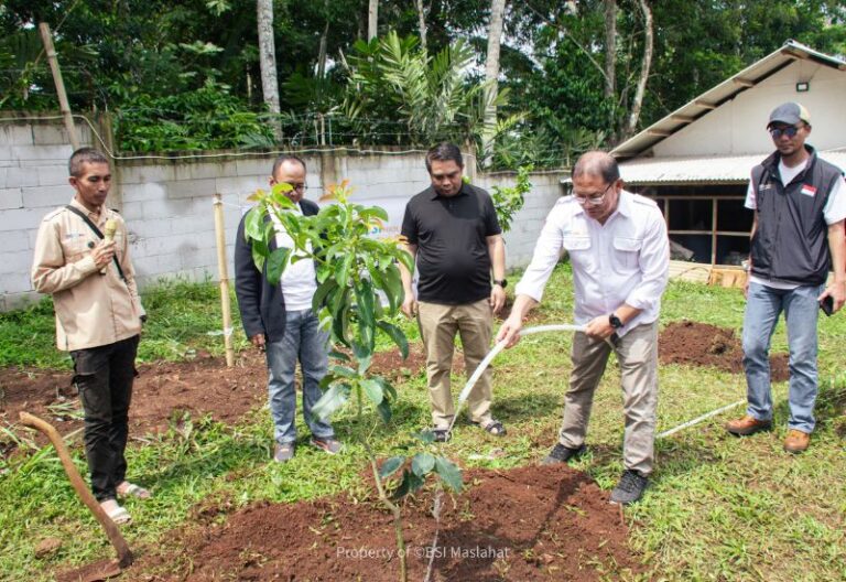BSI Maslahat Berikan 1000 Bibit Alpukat untuk Kelompok Tani Ternak Barokah Jaya di Bandung Barat