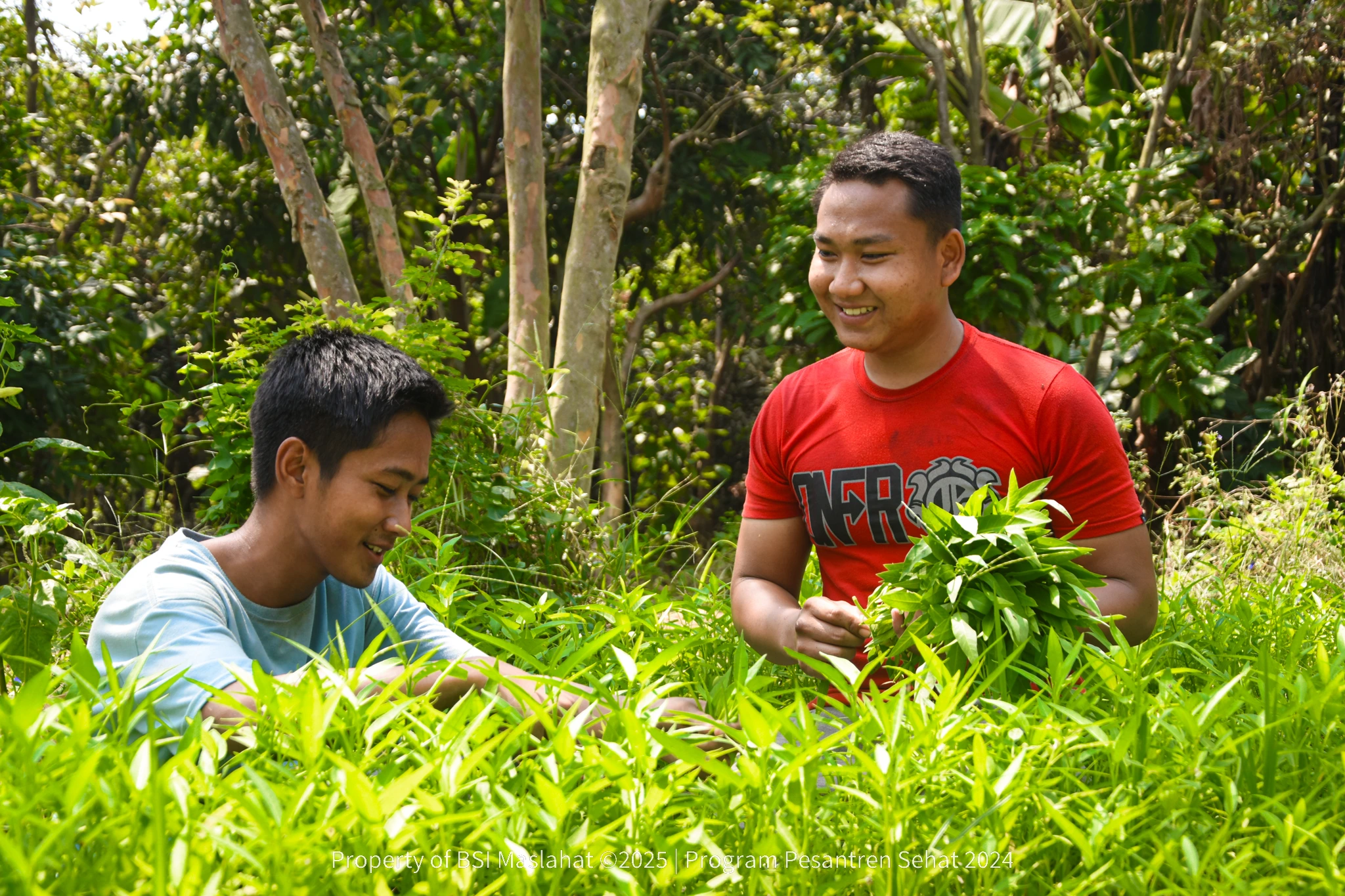 Peringati Hari Santri Nasional 2025, BSI Maslahat Terus Berdayakan Santri Lewat Program Rumah Qur’an dan Pesantren Sehat 