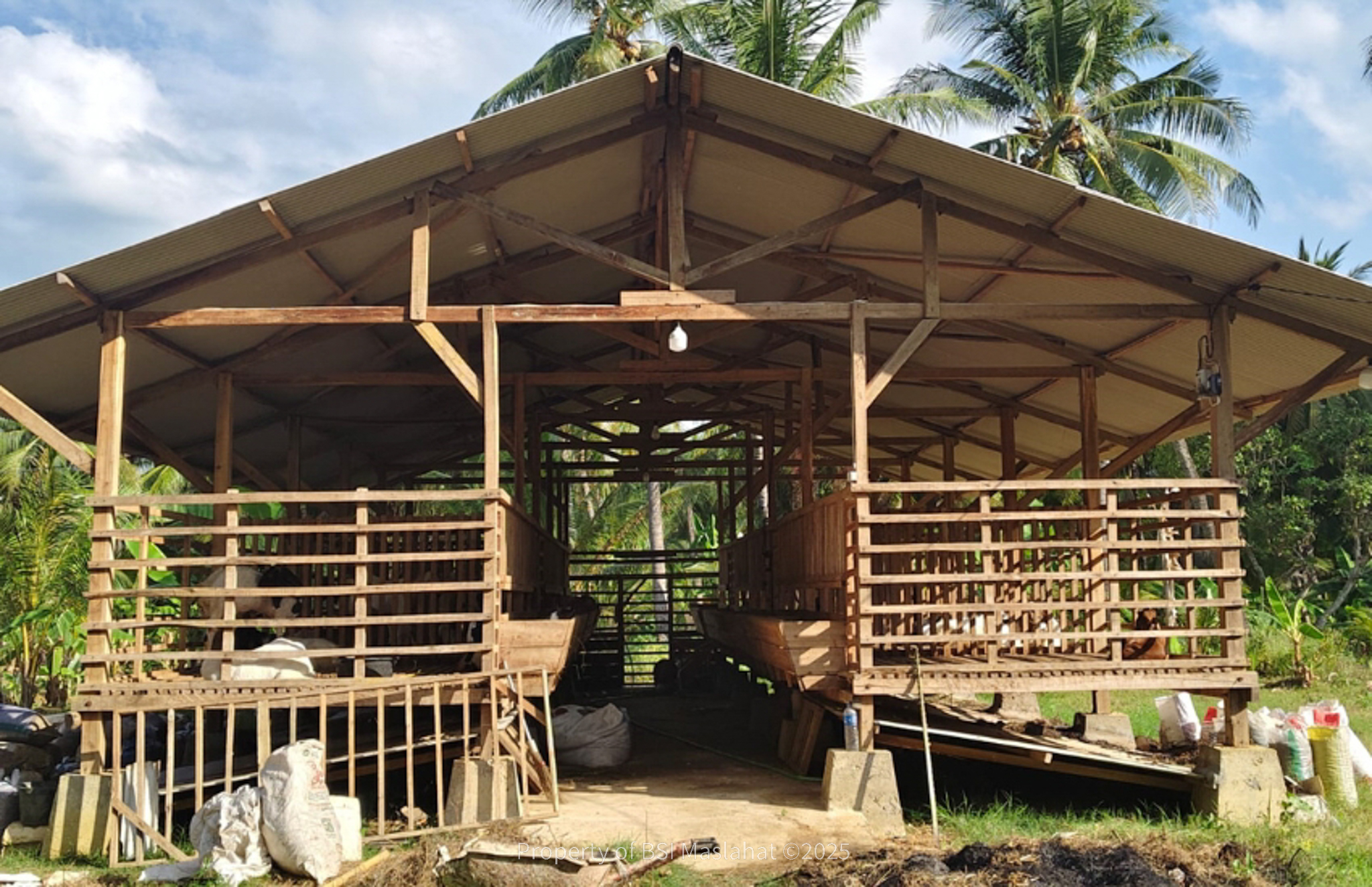 BSI Maslahat Dukung Ekonomi Pesantren Al Amien Prenduan Madura Melalui Program Pemberdayaan Peternakan Kambing 