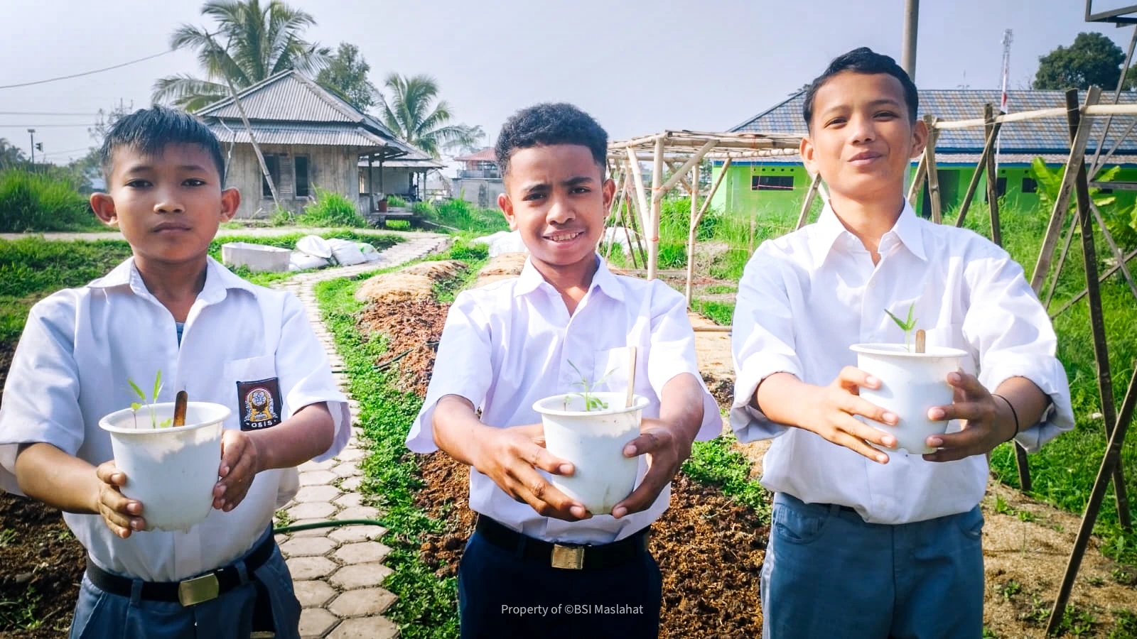 BSI Maslahat Wujudkan Kemandirian Pesantren Melalui Program Pesantren Sehat di Pandeglang 