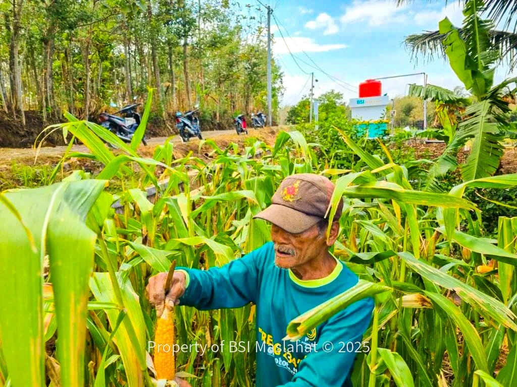 BSI Maslahat Perkuat Kehidupan Berkelanjutan yang Layak melalui Air Bersih