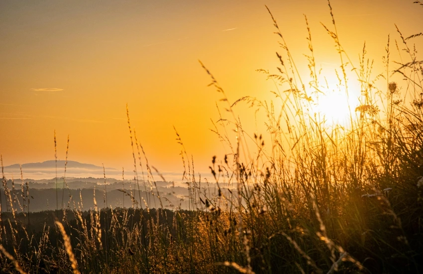 Zikir Pagi Petang sebagai Penjaga Diri dari Bahaya dan Sumber Ketenangan Jiwa